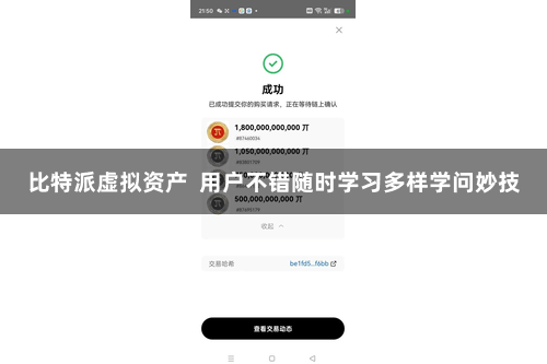 比特派虚拟资产 用户不错随时学习多样学问妙技