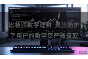 比特派数字理财  灵验防护了用户的数字资产被盗取